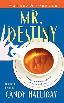 Mr. Destiny by Candy Halliday