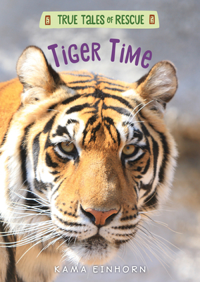 Tiger Time by Kama Einhorn