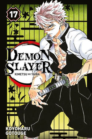 Demon Slayer, Tome 17 by Koyoharu Gotouge
