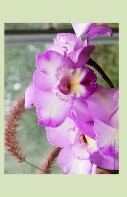 Purple Orchids 2014 Weekly Calendar: 2014 weekly calendar with a photo of a cluster of purple orchids by K. Rose