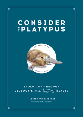 Consider the Platypus: Evolution through Biology's Most Baffling Beasts by Rodica Prato, Maggie Ryan Sandford