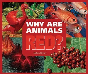 Why Are Animals Red? by Melissa Stewart