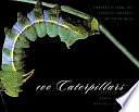 100 Caterpillars: Portraits from the Tropical Forests of Costa Rica by Jeffrey C. Miller, Daniel H. Janzen, Winifred Hallwachs