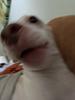 maknchz15's profile picture