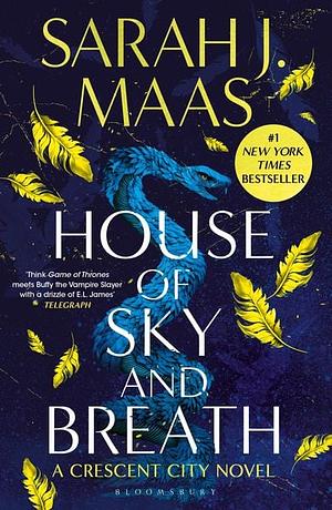 House of Sky and Breath by Sarah J. Maas