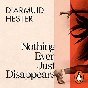 Nothing Ever Just Disappears by Diarmuid Hester