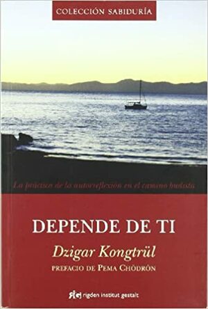 Depende de ti by Dzigar Kongtrül III