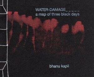 Water Damage: A Map of Three Black Days by Bhanu Kapil