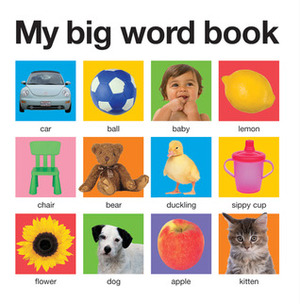My Big Word Book by Roger Priddy