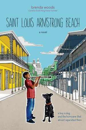 Saint Louis Armstrong Beach by Brenda Woods