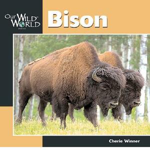 Bison by Cherie Winner