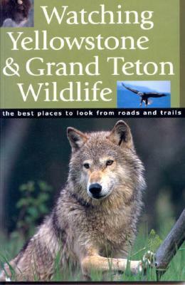 Watching Yellowstone & Grand Teton Wildlife by Michael H. Francis, Todd Wilkinson