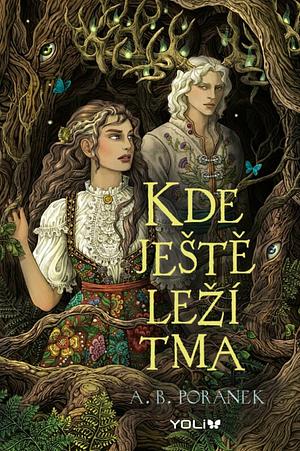 Kde ještě leží tma by A.B. Poranek