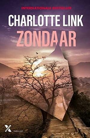 Zondaar by Charlotte Link