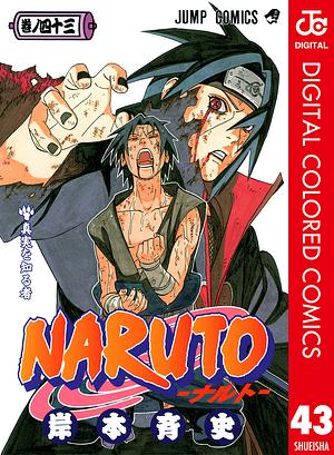 NARUTO―ナルト― カラー版 43 by 岸本 斉史, Masashi Kishimoto