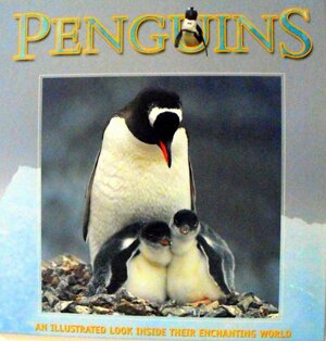 Penguins by Sarah Eason