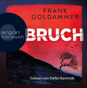 Bruch: Ein dunkler Ort by Frank Goldammer