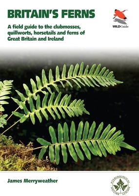 Britain's Ferns: A Field Guide to the Clubmosses, Quillworts, Horsetails and Ferns of Great Britain and Ireland by James Merryweather