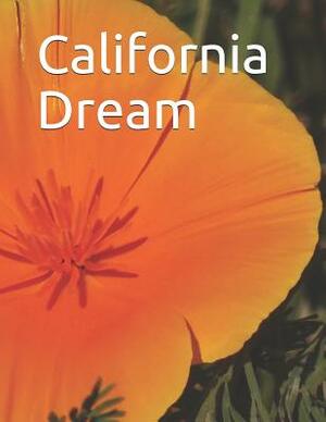 California Dream: Gold Rush to Computers: An extra-large print memory care senior reader book / travel magazine by Celia Ross