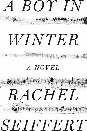 A Boy in Winter by Rachel Seiffert