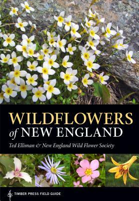 Wildflowers of New England by Ted Elliman, Native Plant Trust