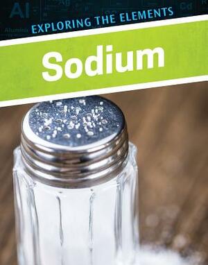 Sodium by Avery Elizabeth Hurt