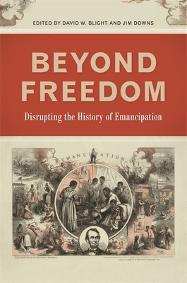 Beyond Freedom: Disrupting the History of Emancipation by 