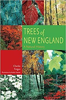 Trees of New England: A Natural History by Charles Fergus, Amelia Hansen