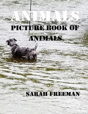 Animals by Sarah Freeman