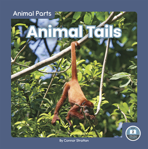 Animal Tails by Connor Stratton