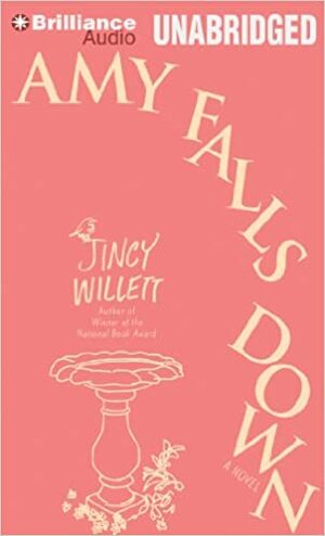 Amy Falls Down: A Novel by Jincy Willett