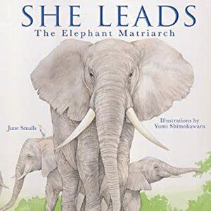 She Leads: The Elephant Matriarch by June Smalls