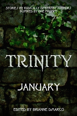 Trinity: January by Lauren Patzer, Hiromi Cota, Amber Rainey