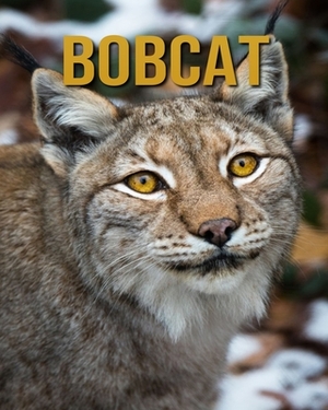 Bobcat: Amazing Facts & Pictures by Jessica Joe