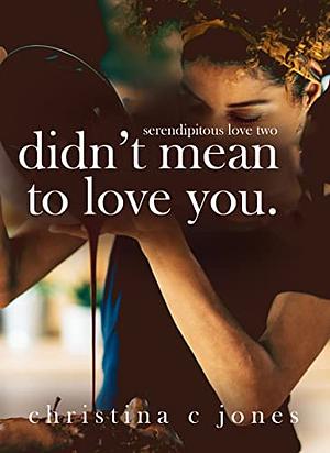 Didn't Mean To Love You by Christina C. Jones