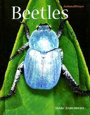 Beetles by Marc Zabludoff