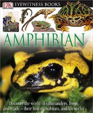 DK Eyewitness Books: Amphibian: Discover the World of Frogs, Toads, Newts, and Salamanders Their Habitats, and L by Barry Clarke