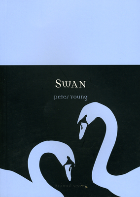 Swan by Peter Young