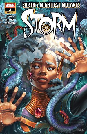 Storm (2024-) #2 by Murewa Ayodele