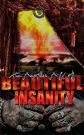 Beautiful Insanity by B.B. Blaque