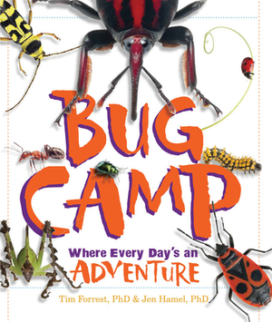 Bug Camp: Where Every Day's an Adventure by Tim Forrest, Jen Hamel