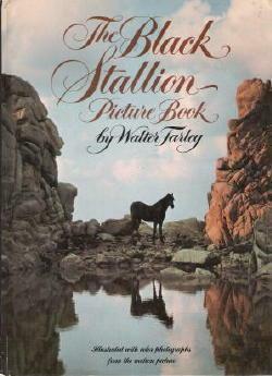 The Black Stallion Picture Book by Walter Farley