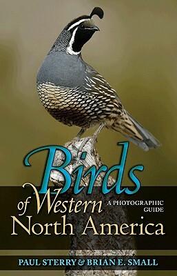 Birds of Western North America: A Photographic Guide a Photographic Guide by Brian E. Small, Paul Sterry