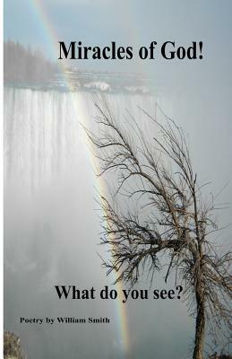 Miracles of God! What do you see?: Miracles of God! What do you see? by William Smith
