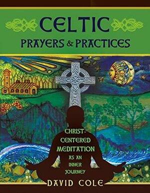 Celtic Prayers & Practices: Christ-Centered Meditation as an Inner Journey by David Cole