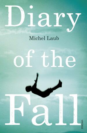 Diary of the Fall by Michel Laub