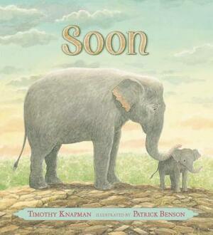 Soon by Timothy Knapman