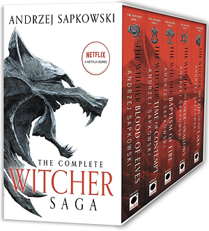 The Witcher Boxed Set: Blood of Elves, the Time of Contempt, Baptism of Fire, the Tower of Swallows, the Lady of the Lake by Andrzej Sapkowski