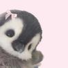 k8ri's profile picture