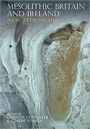 Mesolithic Britain And Ireland: New Approaches by Chantal Conneller